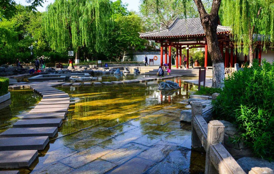 97米!"月牙飞瀑"指日可待!济南泉群又要撒欢啦