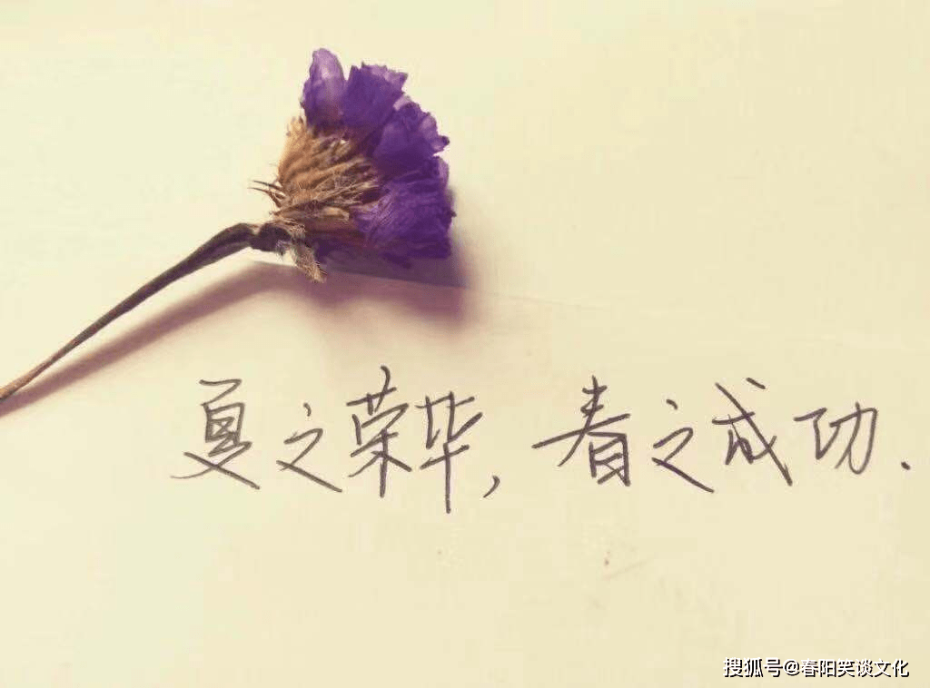 1e0ae8d827304f88bb78ac6423cce597.png
