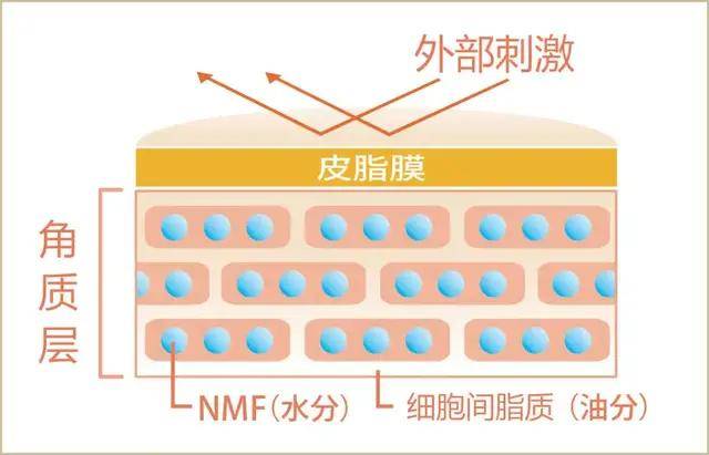 产品|皮肤敏感、痘痘反复，为什么护肤无效？这些误区你不要碰