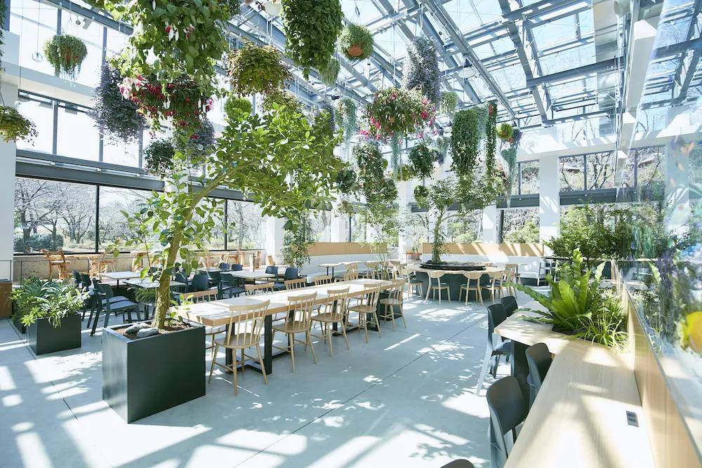 日本艺术鉴赏东京变绿指南被注目的绿色空间设计