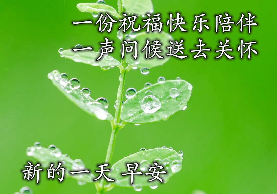 7db51120c2174d9a8a8f200822200f6d.png