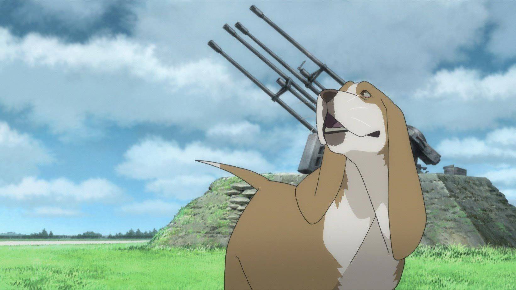 《空中杀手》空战下的爱情故事,无论重活多少次,我只爱你一个人