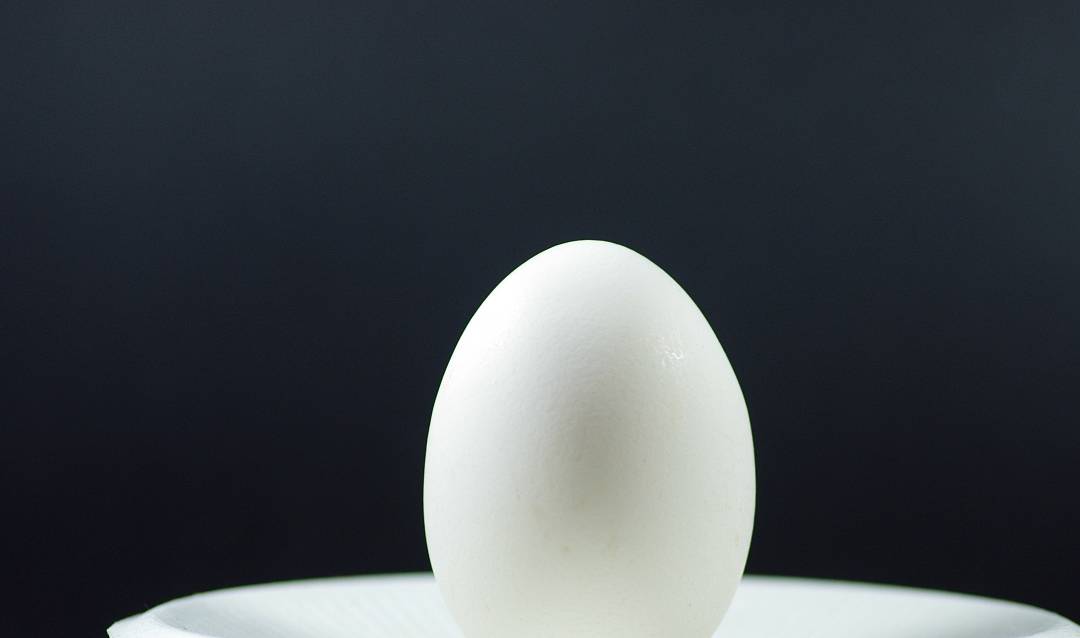 因为|16年后,芙蓉姐姐归来,果然瘦了气质就好了!「附减肥餐单」