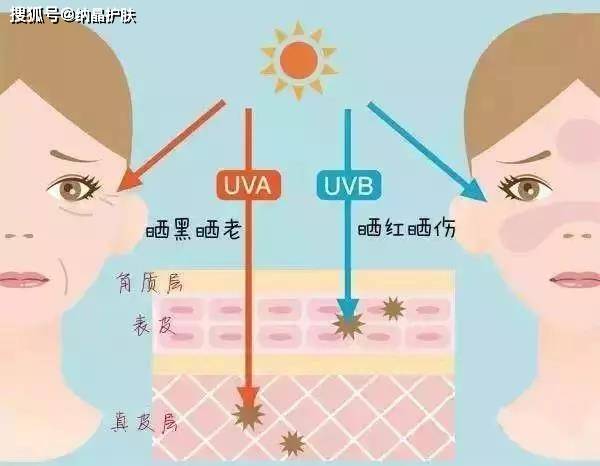 郑志忠|纳米晶片发明者对话皮肤科专家，你想要的皮肤干货都在这了！