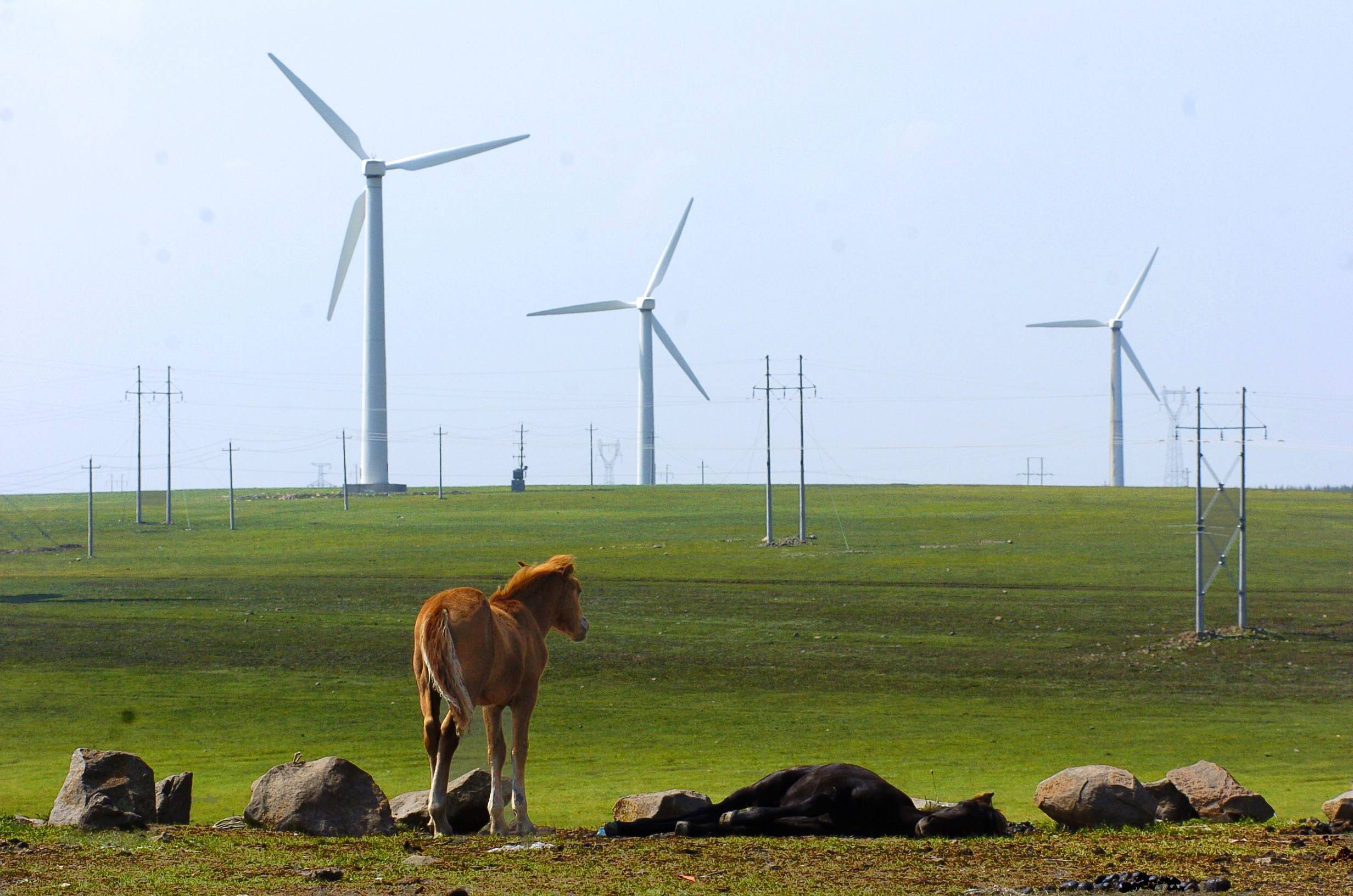 发改委参与绿色电力交易的市场主体近期以风电和光伏发电为主