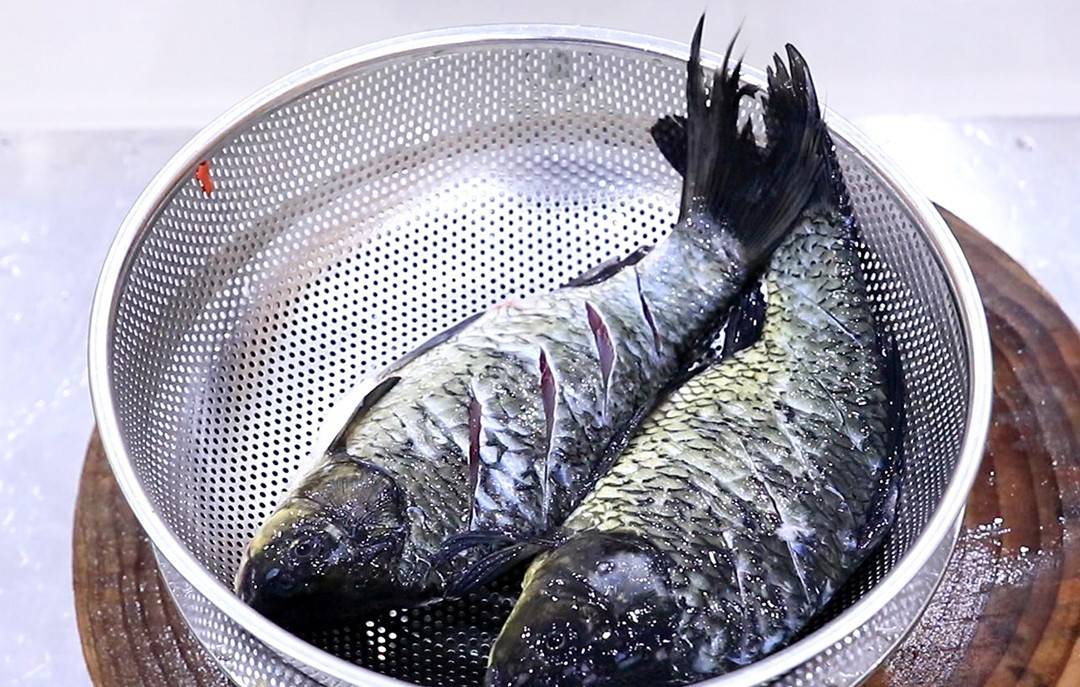 鲫鱼炖豆腐的做法!口感咸香可口!鱼肉鲜嫩入味!