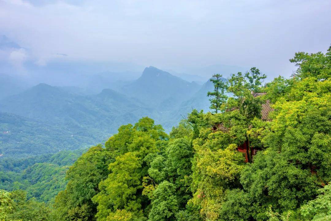 那些辭職隱居終南山的人付不起房租又搬去青城山了