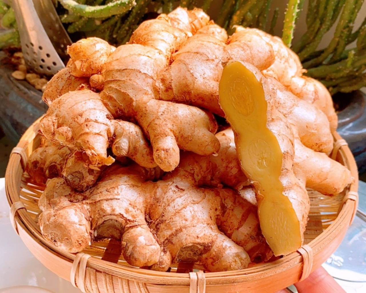 生姜怎么保存时间长一点 b6c4798302404cf4ab1b57a566dc52d1.jpeg