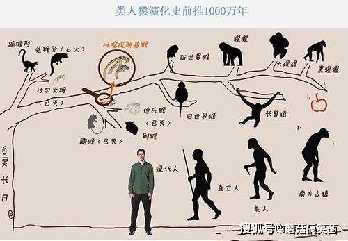 不交社保怎么办理退休金 北京 高招体检周末启动体检前要注意啥