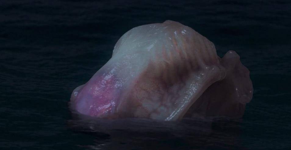 原著|道具粗糙、逻辑混乱、剧情儿戏,《云南虫谷》扑街不是没有原因的