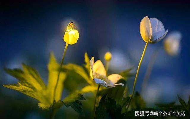 73cf78a7f61a4e0dbb7319db10581295.jpeg