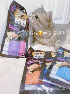 因为|有哪些值得推荐的猫零食，猫咪最爱的猫零食排行榜