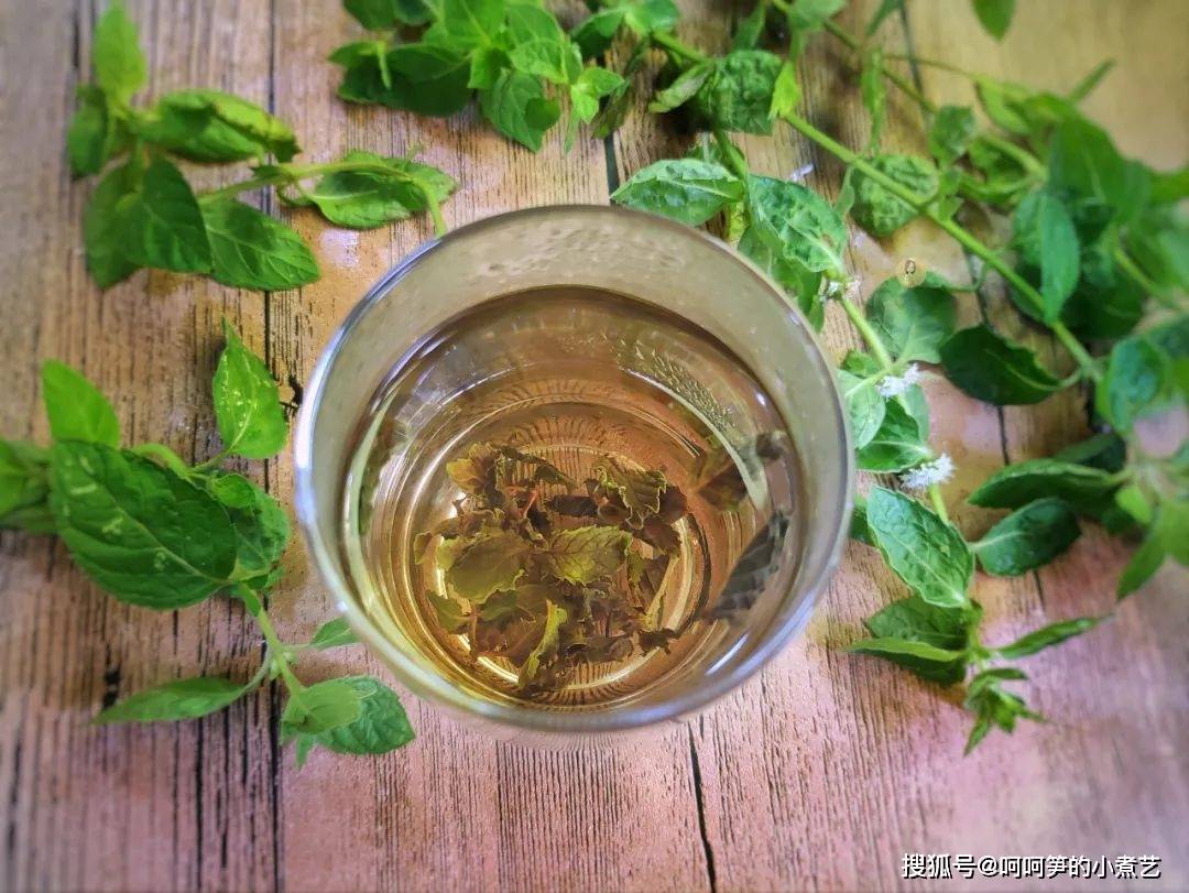 薄荷|新鲜的薄荷吃不完，教你做成薄荷茶，方法简单好储存，可以喝一年