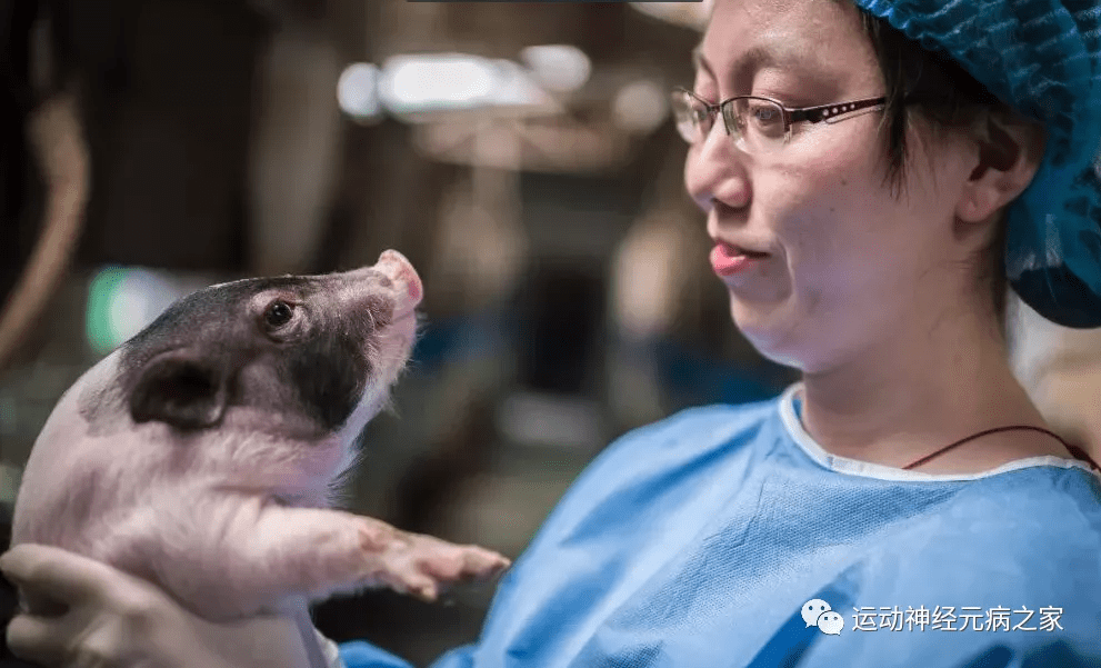 治疗|渐冻症是什么（运动神经元）