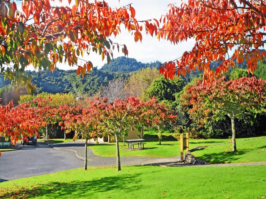 赏新西兰金秋童话斑斓秋色宛若油画