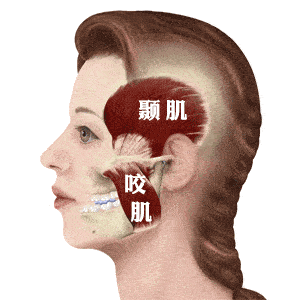 2b725aae185e4610a514c27606c1a6ea.gif
