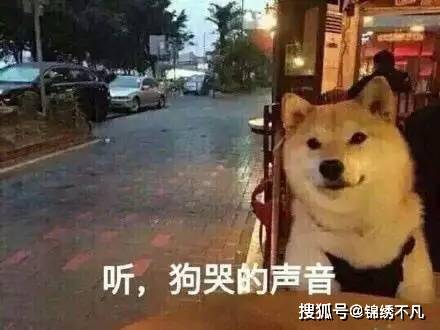 38568034194e4db985e00e50f9b1a04a.jpeg