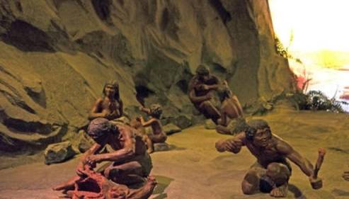 进行|为揭开古人的秘密,科学家做了一项邋遢实验,持续了一年太疯狂了