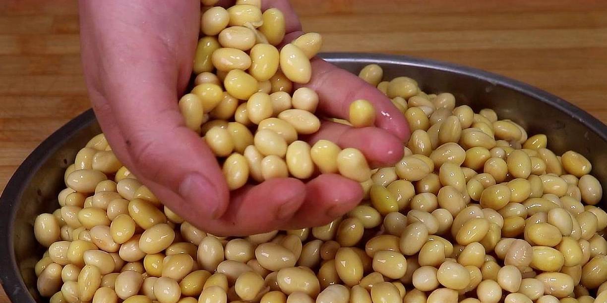 水大叔|黄豆别再打豆浆了,孩子多吃猛长个,酥脆又营养,比吃肉香