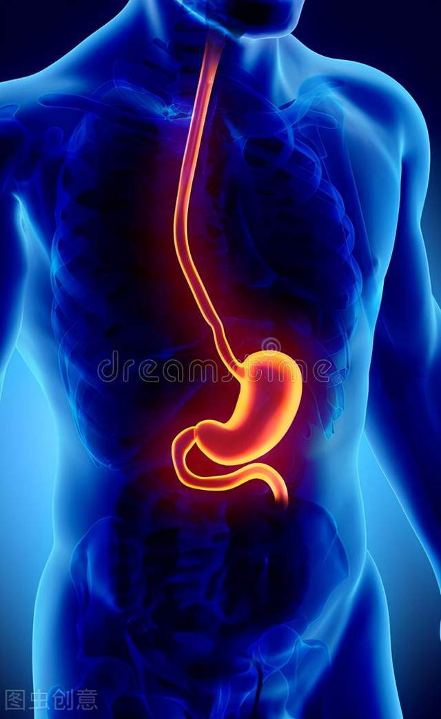 凌晨一点,ta们不睡觉却拉响了身体警报_肠道