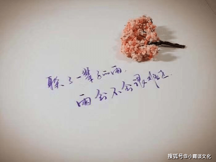 简谱刺心_儿歌简谱(3)