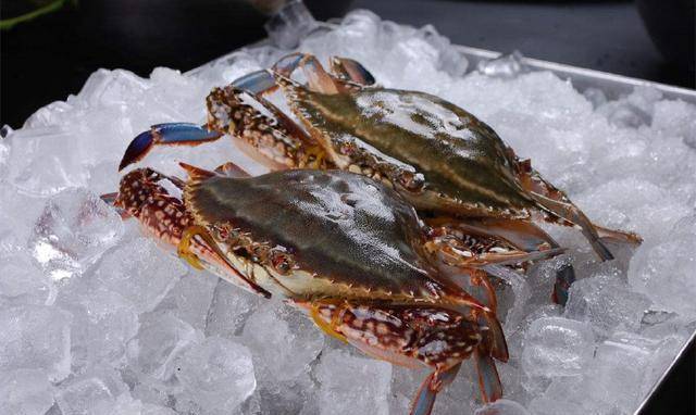 潮汕感蟹季蟹蟹你真好吃