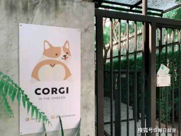 时间|柯基咖啡馆，爱宠人士的福音，非常值得去一次！