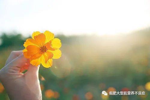 问题|近亲结婚会导致肌营养不良吗？ 揭秘肌营养不良的真正原因