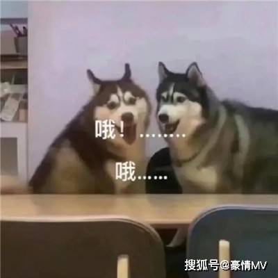74a9e35ff62249e4b6f1543a06f3d74b.jpeg