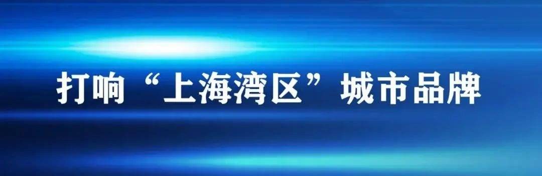 升级+扩容！枫泾古镇景区将新增250多个车位，还有这些配套设施→