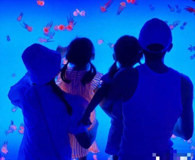 名字|谢娜官宣二胎生女,透露跳跳俏俏对妹妹的态度,维嘉:实话实说了