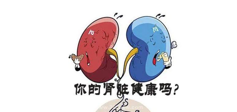 肾脏|可怕的尿毒症,10个蛛丝马迹提前“预警”,早发现或能保住你的肾