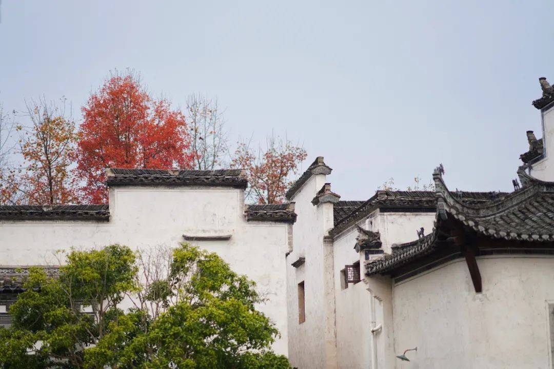 烟雨任|一座搬来的古村，20余栋几近坍塌的徽派民居，拼成了黟县画里乡村