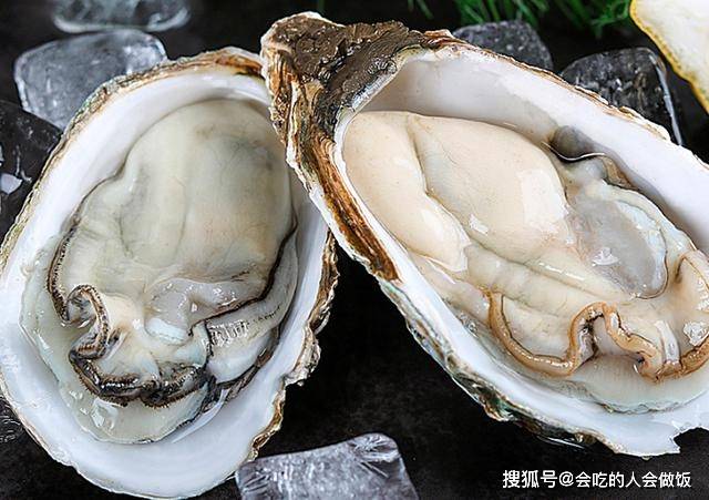 什么样的生蚝是不新鲜的 926a4d2c41ef442ea96c86a7343a4227.jpeg