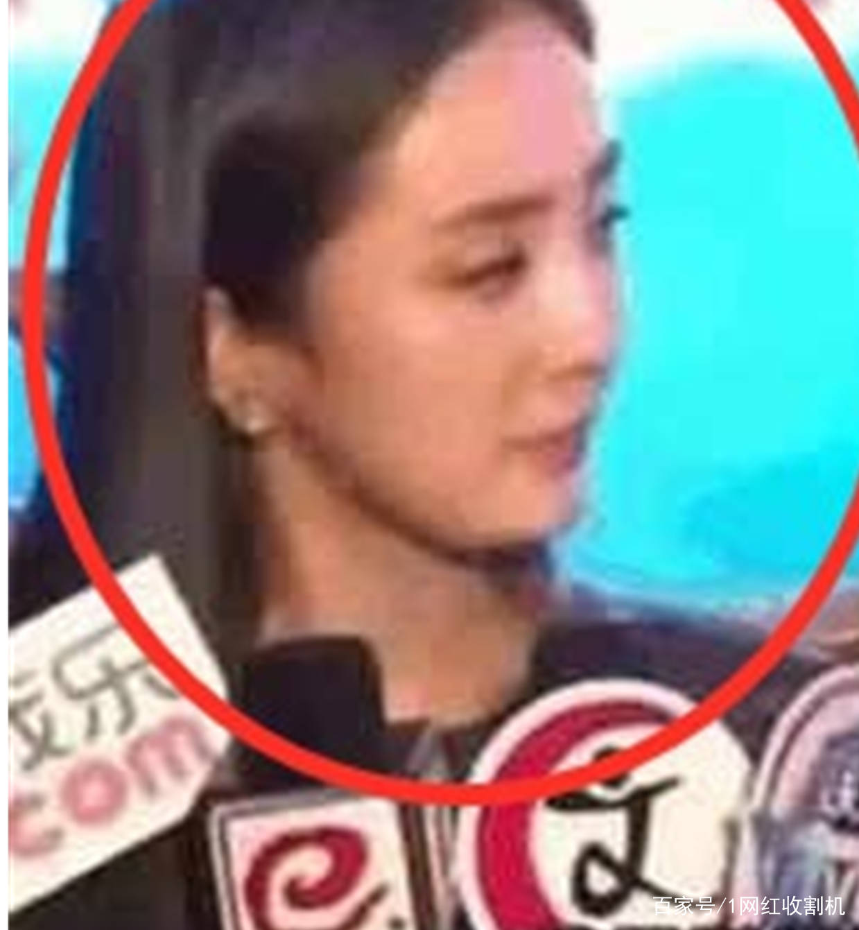 隆穹|太尴尬了!盘点8位明星“改头换面”后车祸现场,都是灾难(下)