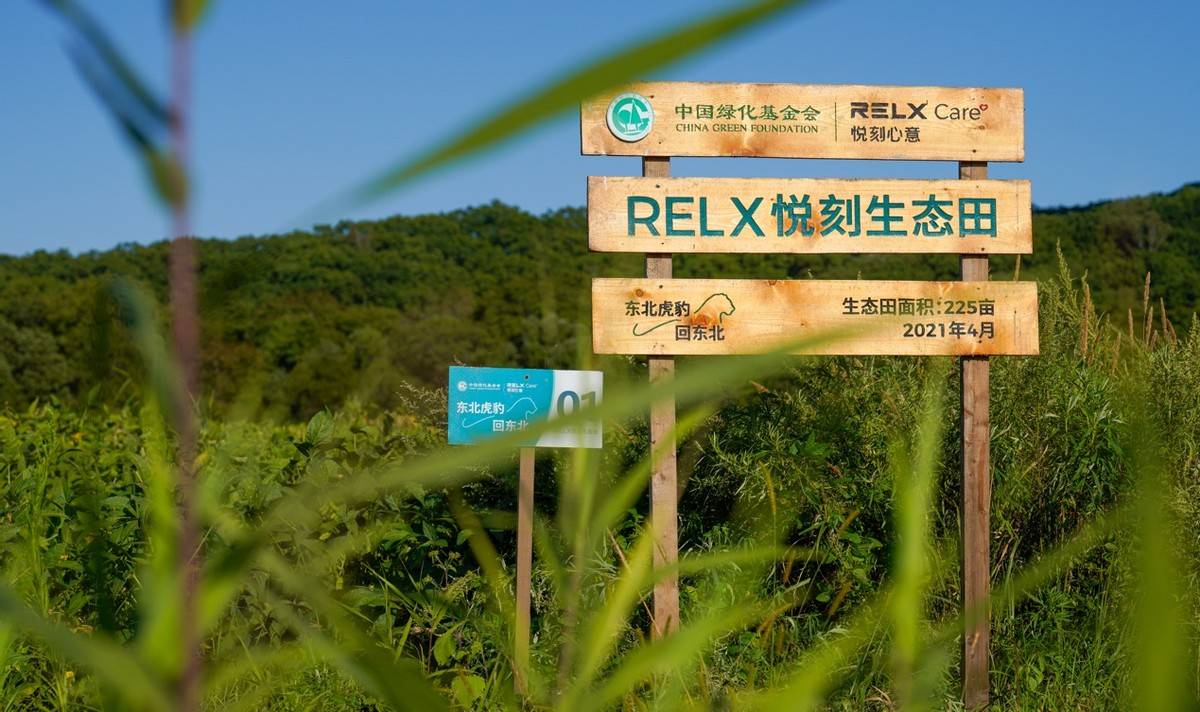 RELX悦刻社区服务项目“东北虎豹回东北”探索纪实 ｜ 图片故事