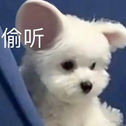 网络|“会员健身房选妃”曝光，健身房不是“富婆”的养鸭场