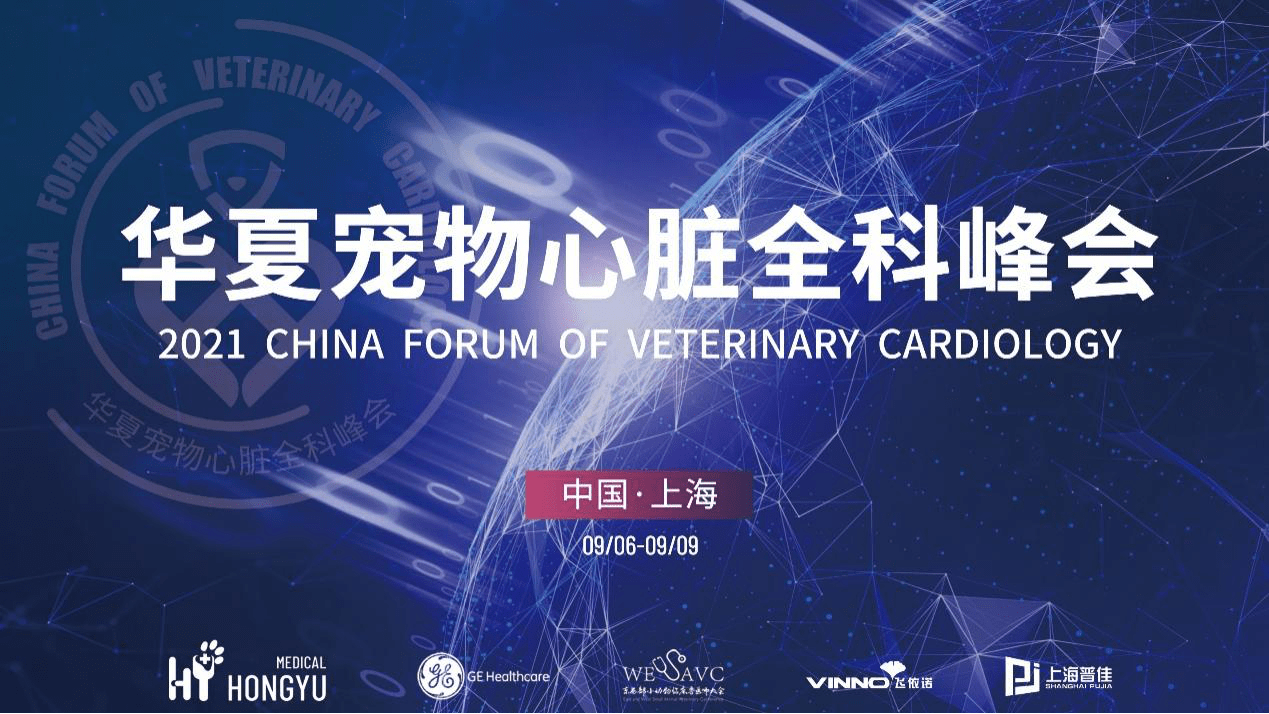 心脏|顶尖宠物心脏科专家医师齐聚上海竑宇，助推宠物心脏专科发展