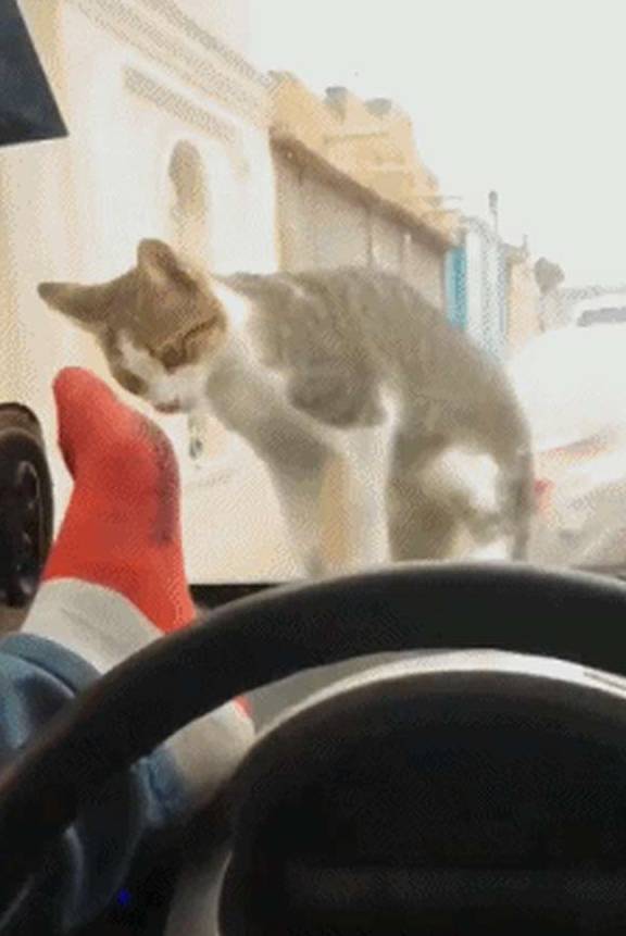 下班的图片配图 4a371850ff4940e183e2be7aaedd85ea.jpeg