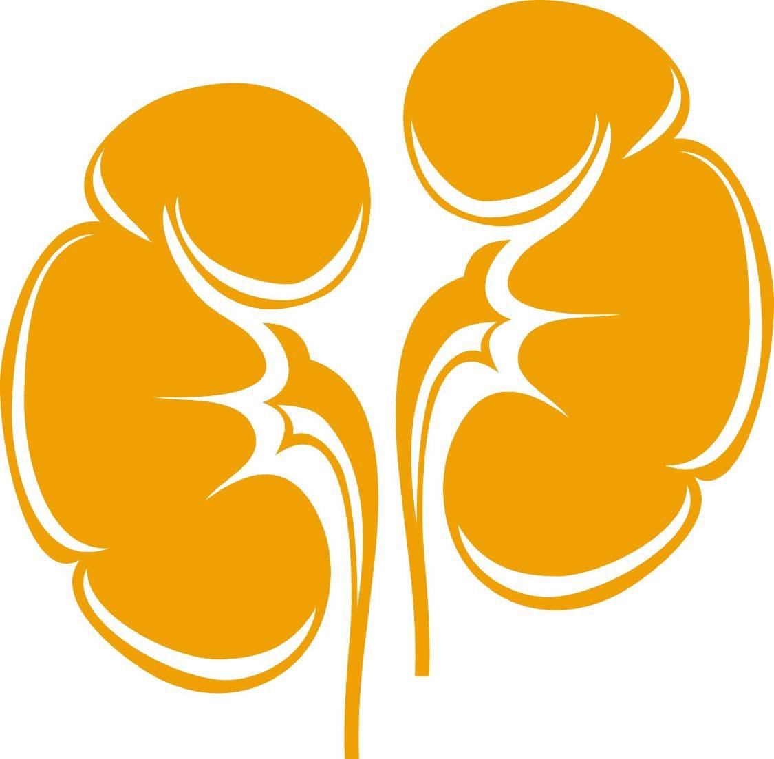 疾病|肾病具有遗传性吗？医生：这些肾脏疾病或具有遗传的风险，需警惕