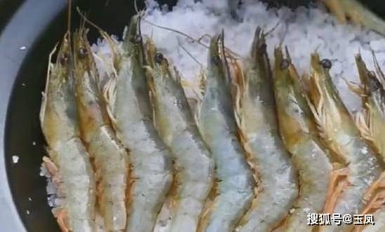 如何挑虾的最佳方法 958f5e37098042299e21c5e6d447925a.jpeg