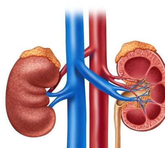 科普|如果一个人在一天时间内一直不停地喝水，结果会怎么样？