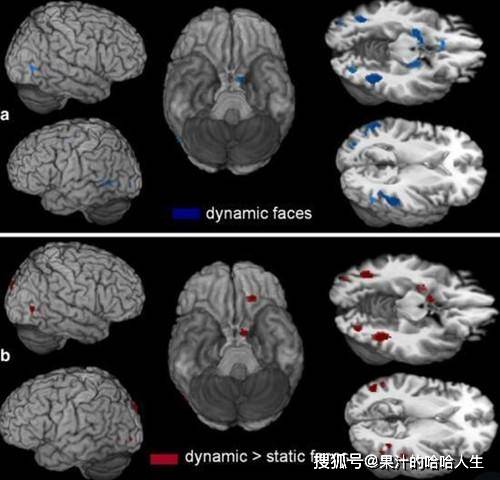 效应|镜子和照片中的你是你真实的相貌吗？听完科学的解释你就明白了