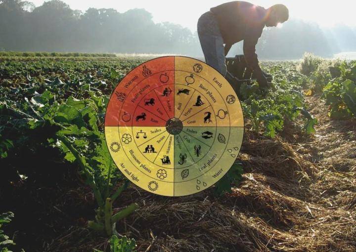 活动|中喜酒业:喜迎中秋,现推出桃金娘干白“买一送一”活动感恩回馈大客户!