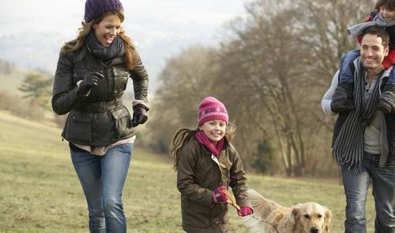 什么|很喜欢出去玩的狗,为什么突然死也不出门?你找到原因没