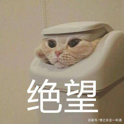 生活|家在宁夏，我骄傲！