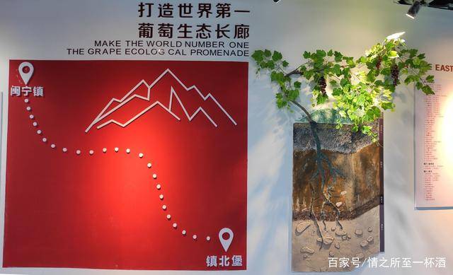 生活|家在宁夏,我骄傲!