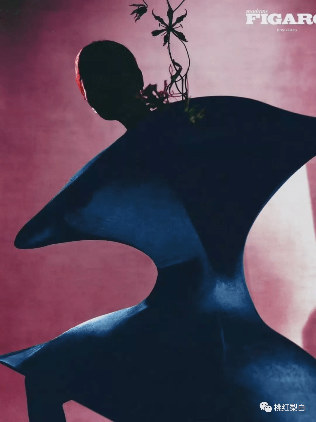 系列|上周红榜蝉联的娜扎，火速跌落黑榜了，但最惊悚的是郑秀文