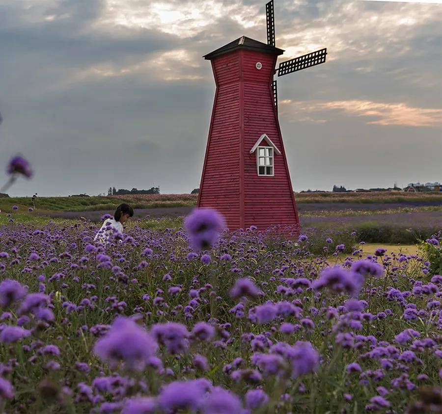 长三角|“活力长三角 奔跑在苏州”女王跑系列赛张家港沙洲新城站10月16日开跑