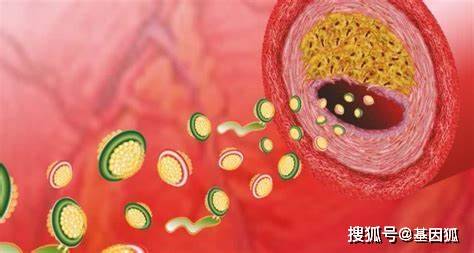 治疗|健康科普：如何判断自己是不是糖尿病高危人群